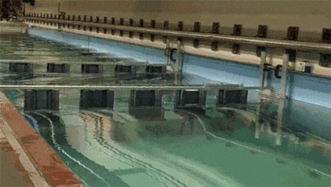 Start of a swimming race with competitors diving into the water from starting blocks in an indoor pool next to an artificial reef.