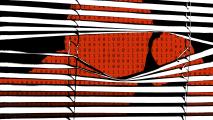 The image of a person filled with red binary code is shown peeking through partially opened black and white blinds