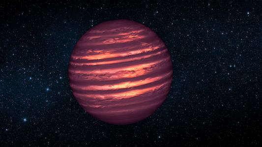 brown dwarfs