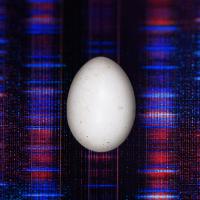 A white egg is centered on a colorful, abstract background resembling a digital DNA sequence with red and blue vertical patterns.