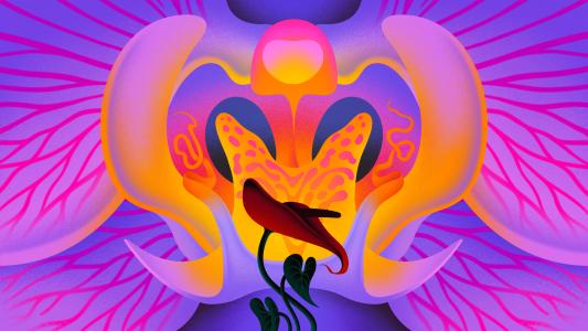 Abstract illustration of a brightly colored pelvis with stylized internal organs and a red flower in the center, symbolizing vitality and longevity, set against a pink and purple background.