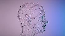 Wireframe 3D model of a human head, inspired by brainspan mapping, made from interconnected nodes and lines against a gradient background with soft purple and blue lighting.