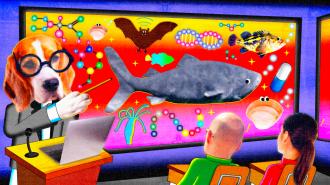 A dog wearing glasses points to a colorful classroom display about animal aging, featuring a shark, bat, fish, pill, and molecules while two students watch.