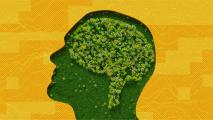 Silhouette of a human head filled with green grass and flowers forming the shape of a brain, set against a yellow patterned background.