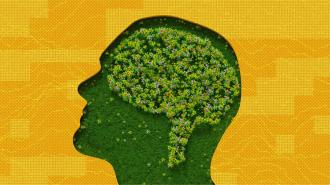 Silhouette of a human head filled with green grass and flowers forming the shape of a brain, set against a yellow patterned background.