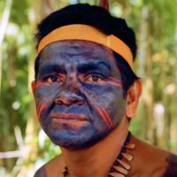 Individual with blue and red face paint, wearing a yellow headband and a necklace, in an outdoor wooded area.