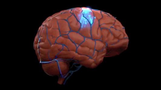 A digital rendering of a human brain with highlighted blue neural pathways and a glowing red area on a black background.