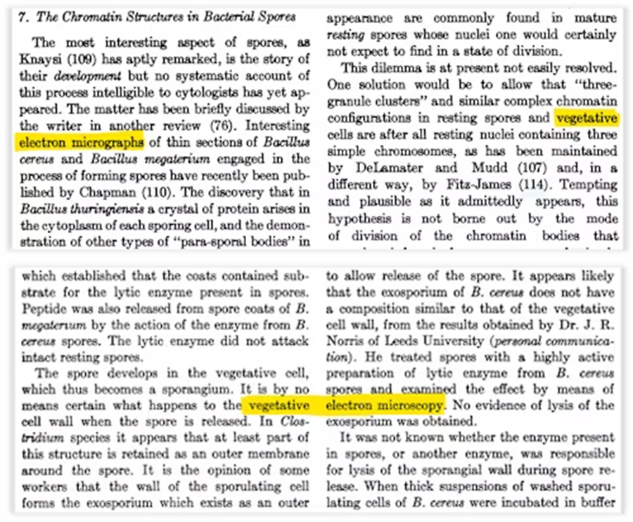 A scientific text highlights sections discussing vegetative electron microscopy and vegetative cells in bacterial spores, with key phrases underlined and highlighted in yellow—offering insights akin to studying digital fossils.