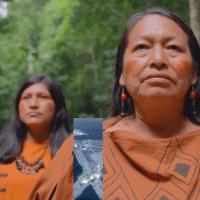 Two women in patterned clothing stand in a forest. Aerial and crowd images are overlaid.