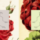 Two molecular structures are shown on patterned floral backgrounds; each structure is displayed on a solid-colored rectangle in front of a large red flower illustration.